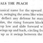 20060612-ninja_txt (Monkey Steals the Peach?!?)