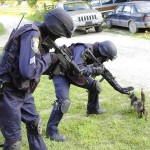 catswat (Feline SWAT Stops Terror Threat)