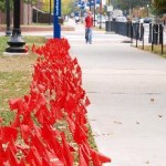 oes4ds1b (Red Flags Remind)