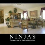 4ninjas (How Keen are Your Senses?)