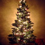 christmastree (Merry Christmas!)