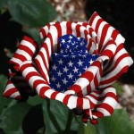 july4th (Happy Independence Day America)