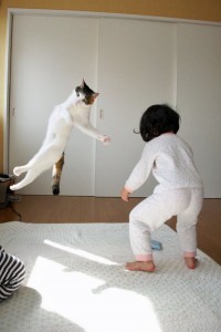 Master Cat executing a flying round house kick to the head of this young Sumo wrestler!