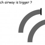 20060611-illussion1 (Can you trust your eyes?)