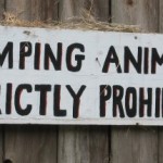 20070811-RiffeLake_AnimalDumpingsm (Silly Saturday)