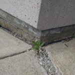 resilient-life (Resilient Life)