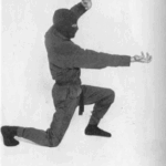 20060612-ninja_pic (Monkey Steals the Peach?!?)