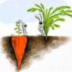 Setting-strong-foundations (Meditation Point #138)