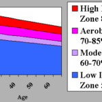heartrate (Your Heart Rate & Training)