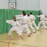 karate-class (Why We Train: Karate)