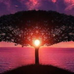 day to day life contemplation banner (Everything Is Possible)