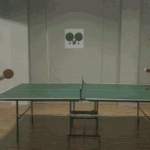 ping-pong (Distractions Value)