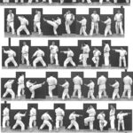 gekisai dai ni (Gekisai Dai Ni Kata with Instructions)