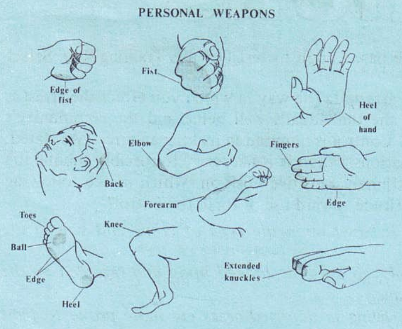 personal weapons