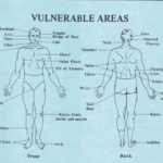 screenshot from 2022 03 27 17 26 31 (Vulnerable Areas)