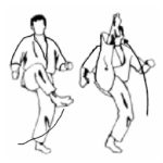 jodan uchi haisoku geri (Inside Roundhouse – The Billy Jack Kick)