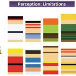 ashley browning minimal colors (Mas Oyama: Street Fighter Ryu)