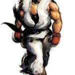 sf4ryu (Mas Oyama: Street Fighter Ryu)