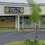 mcdojo cobra kai (Traditional vs McDojo Review)