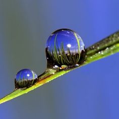 reflection water drop